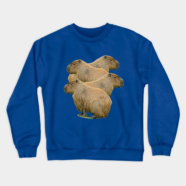 Capybara Stack Crewneck Sweatshirt by dalyndigaital2@gmail.com